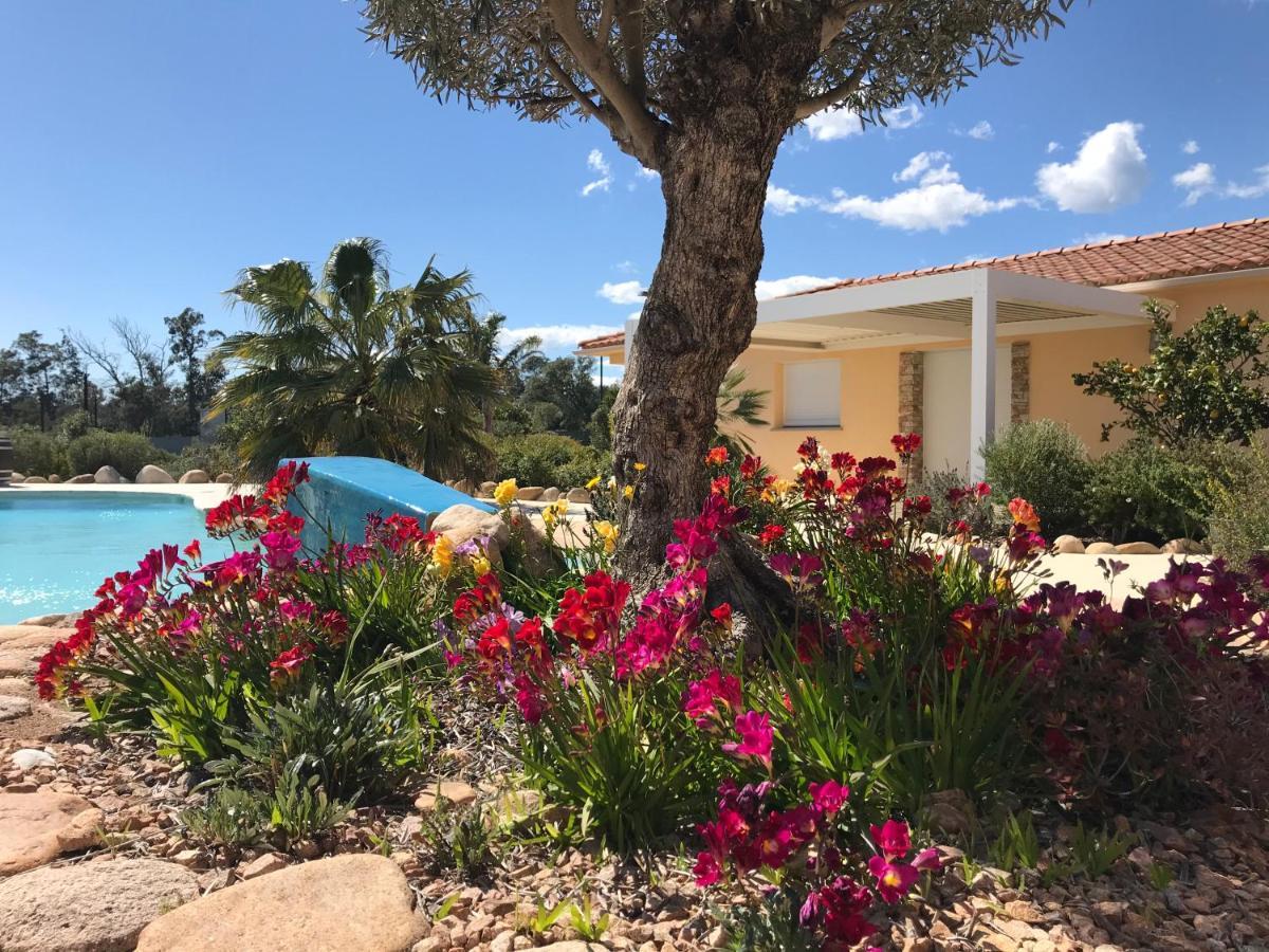 L'Hacienda Piscine Chauffee A 28, Spa, Boulodrome Et Court De Tennis Prives, 2 Villas Independantes Porto-Vecchio  Exteriör bild